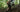 hiker in mild distress