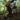hiker in mild distress
